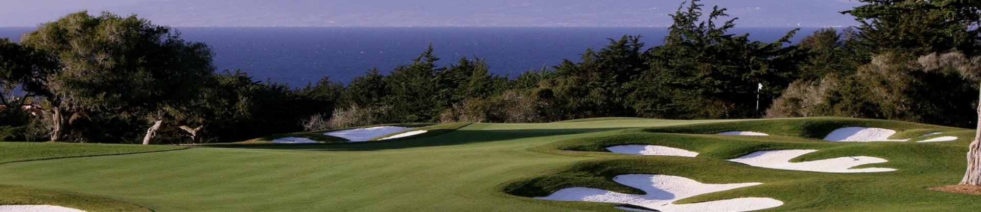 Image of golf ball on tee on grass.